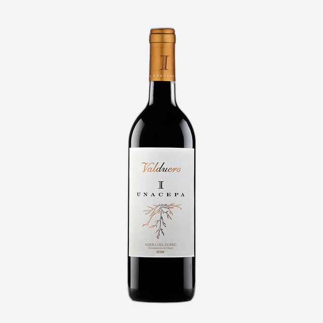 Ribera Valduero 1 Cepa