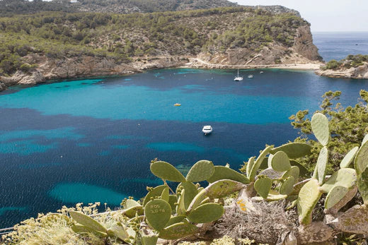 Entdecke atemberaubende Höhlen mit einem Yacht Charter auf Ibiza